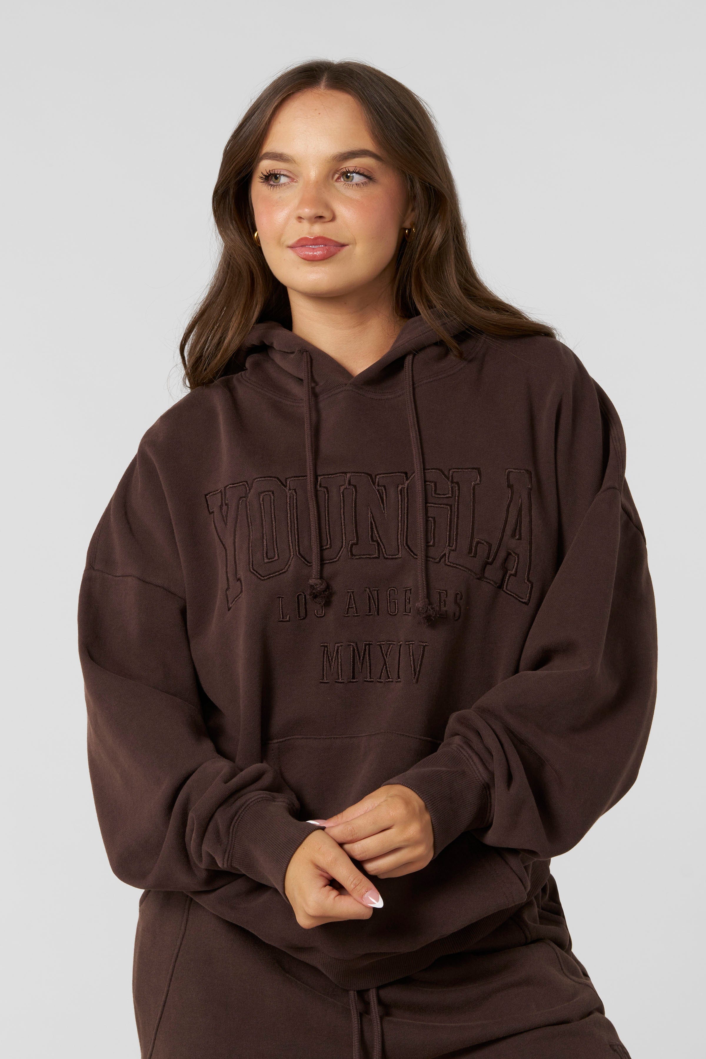 W542 - Mineral Hoodie -soft, premium fabric in rich fall colors with a relaxed, cozy fit for effortless seasonal layering in Brown 