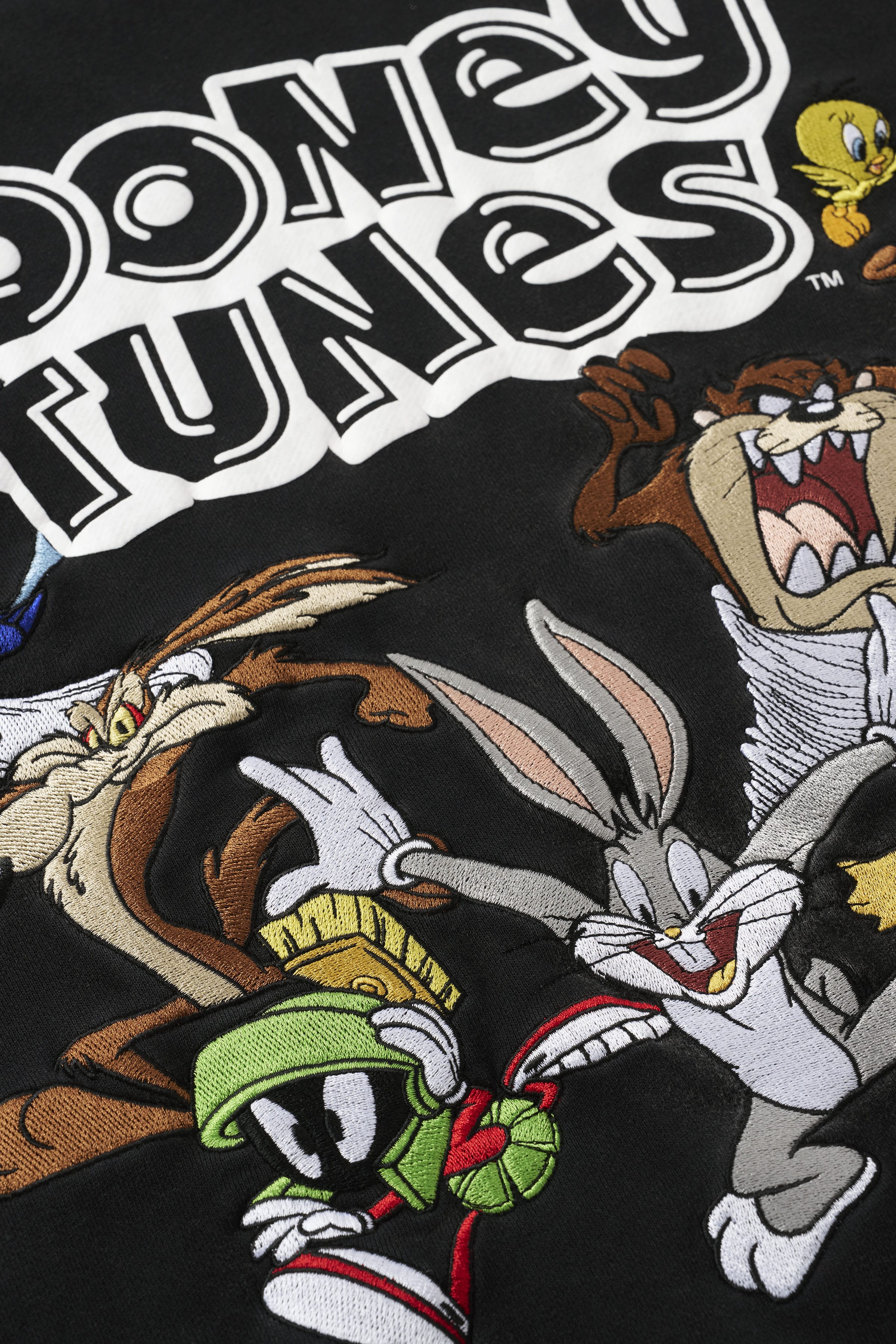 5114 - Looney Tunes Embroidered Hoodies - July 7th