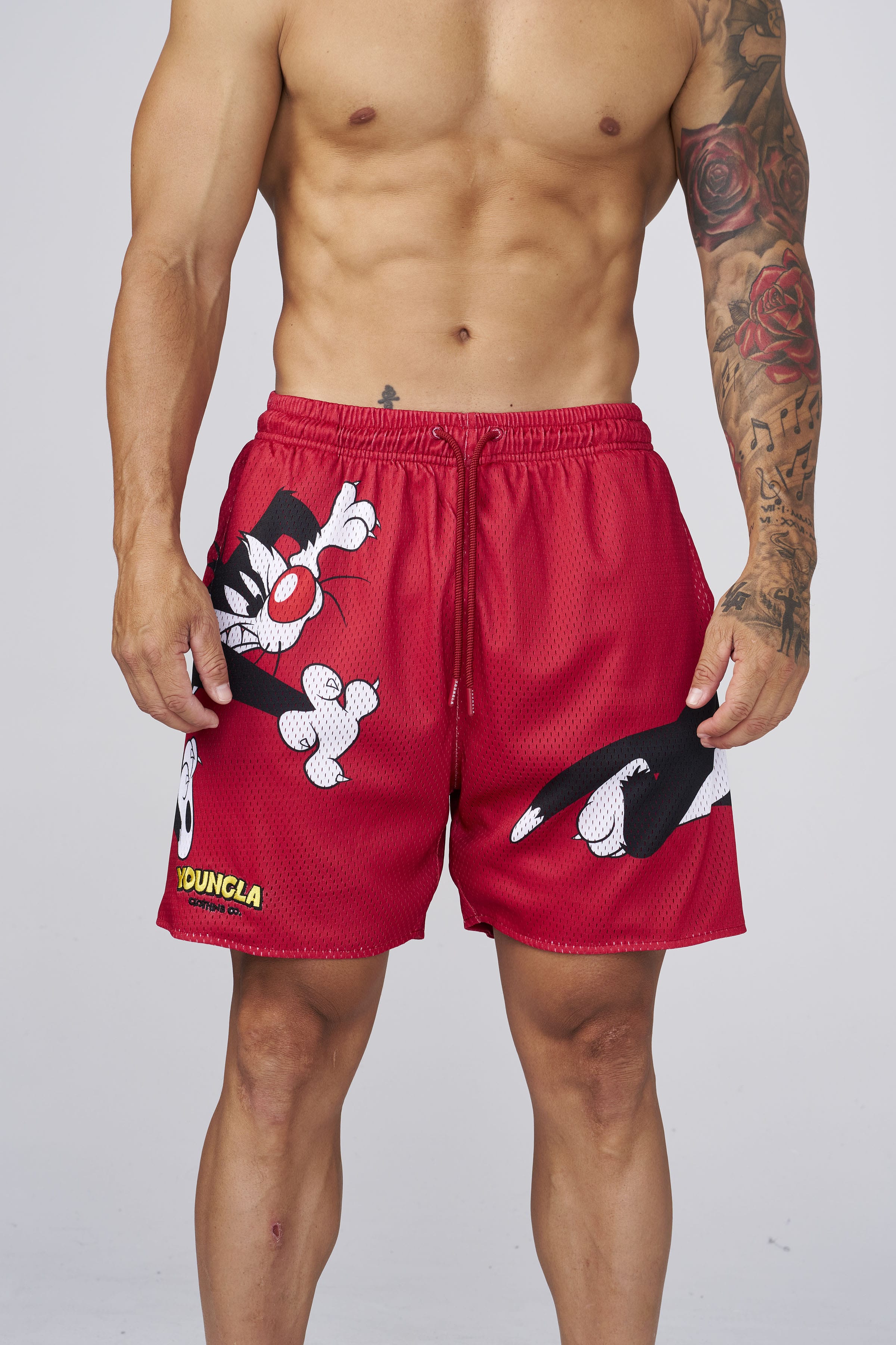 1098 - Looney Tunes Basketball Shorts - July 7th